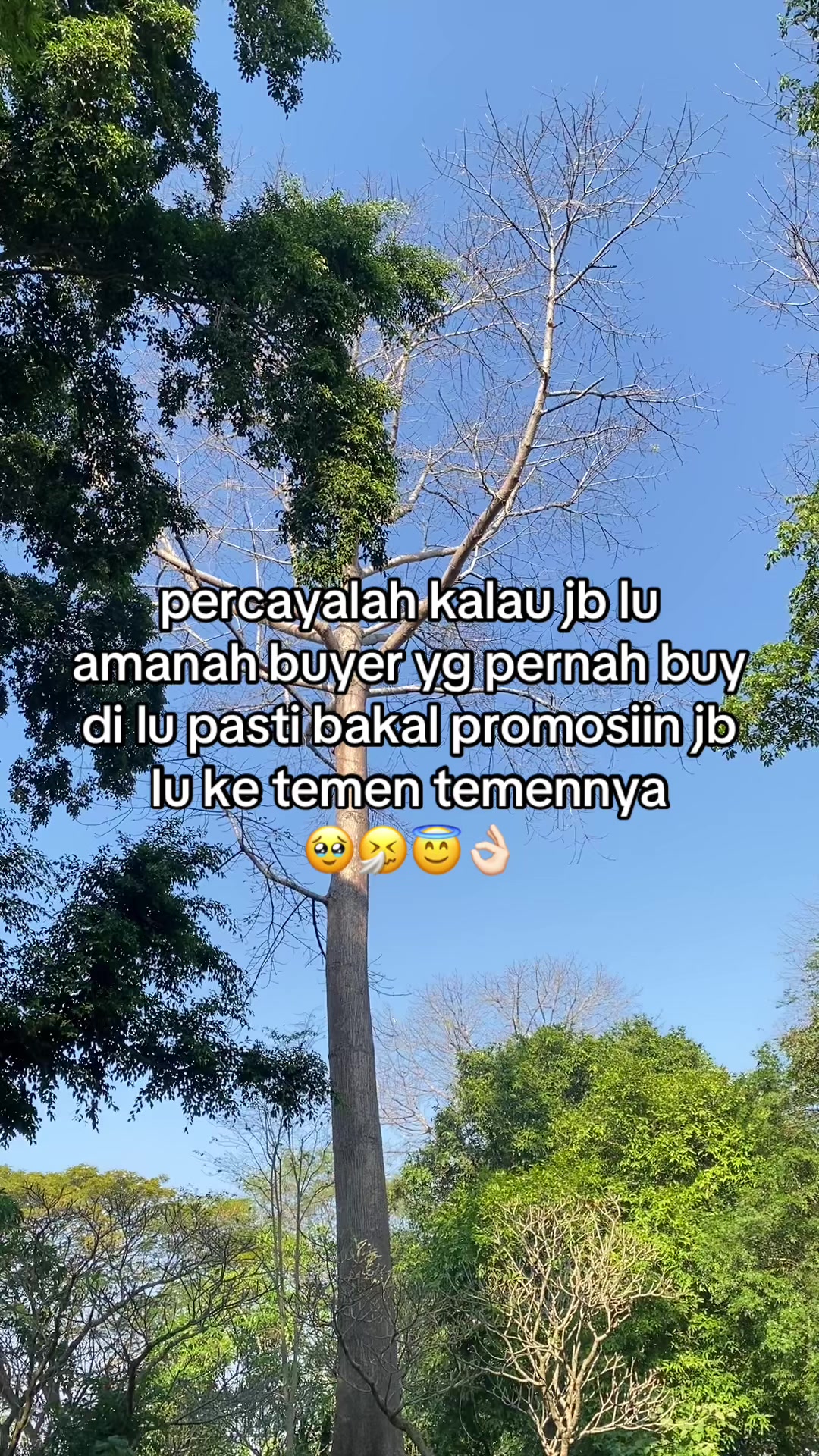 @rissystorebojonegoro