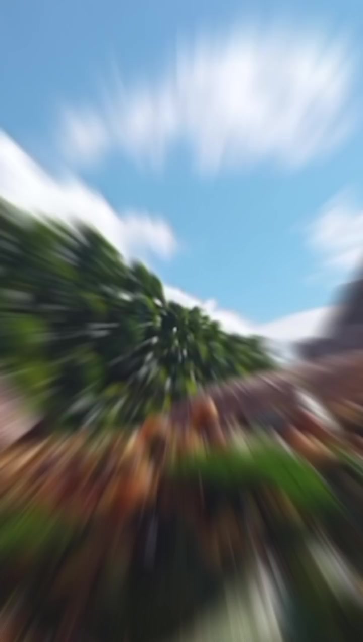 @Flaviana moreno