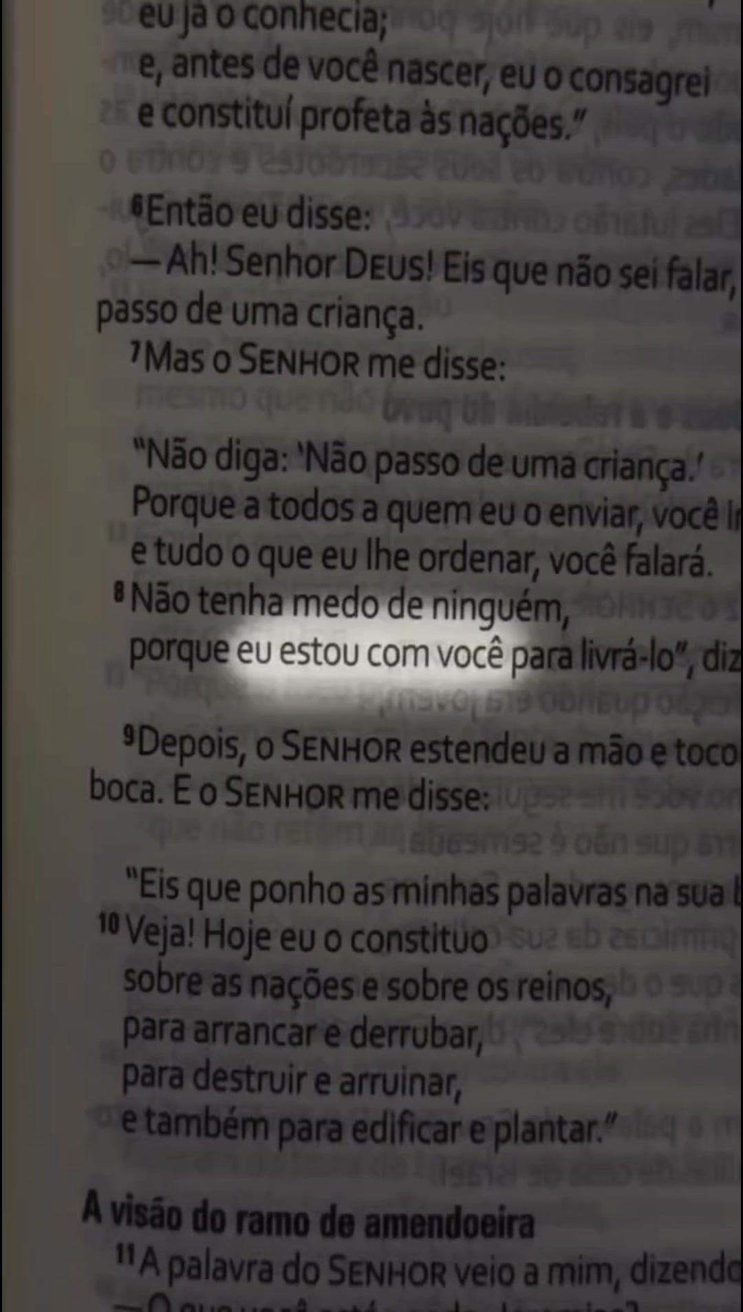 @Maiara Nascimento