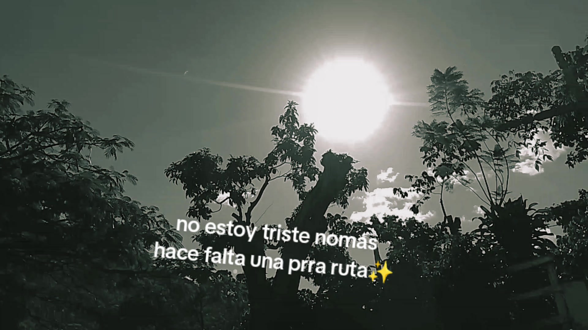 @Adriana G&oacute;mez Roblero