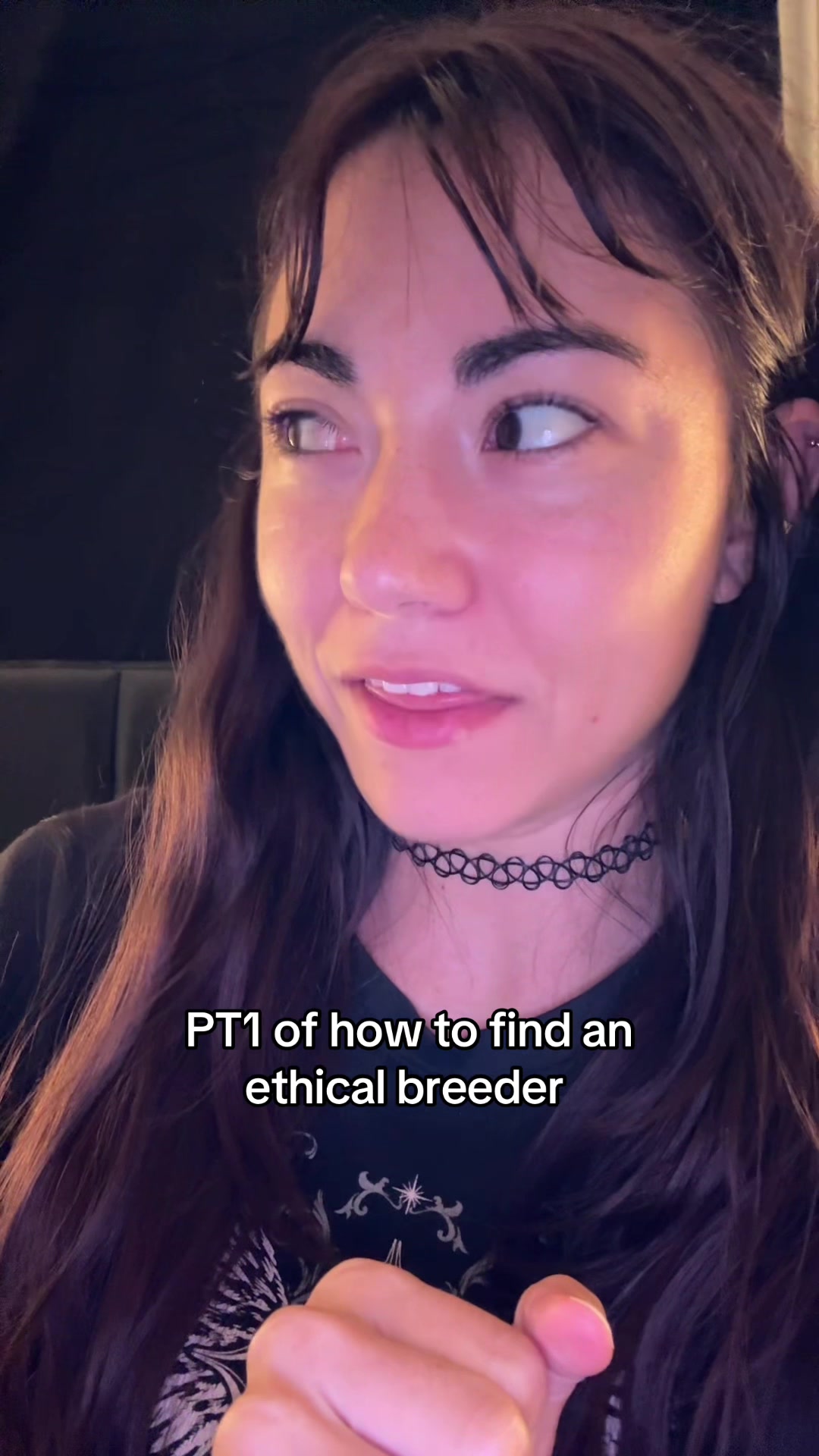 @Kate’s Pack