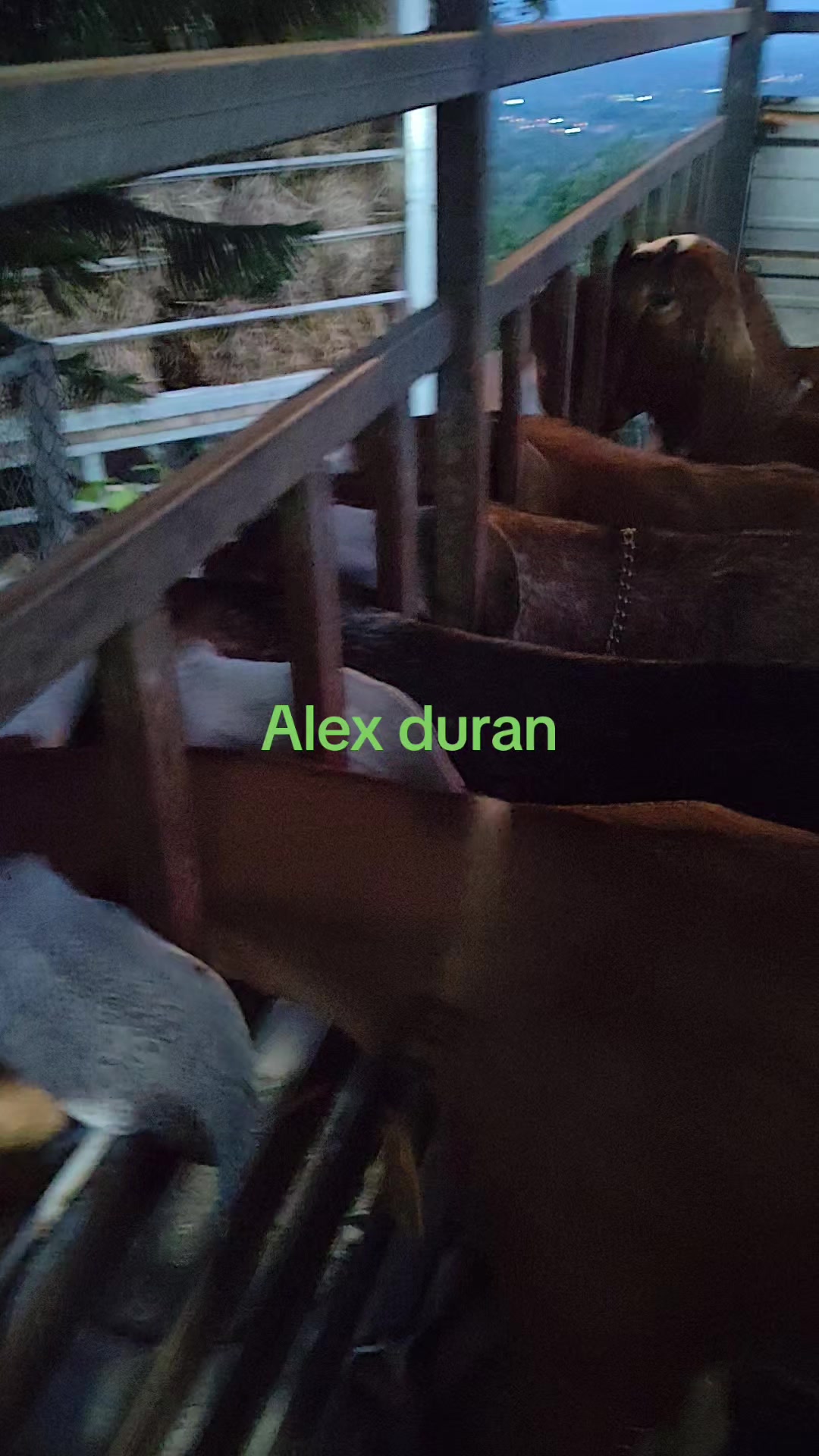 @alexduran7558