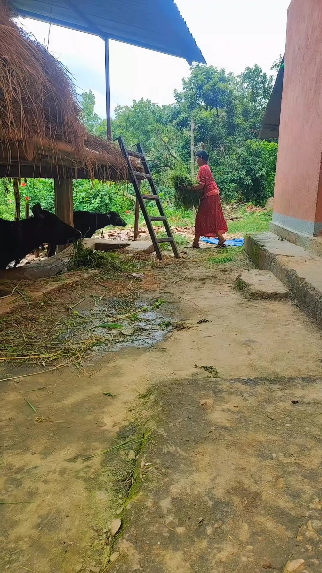 @धनकुमारी अर्याल