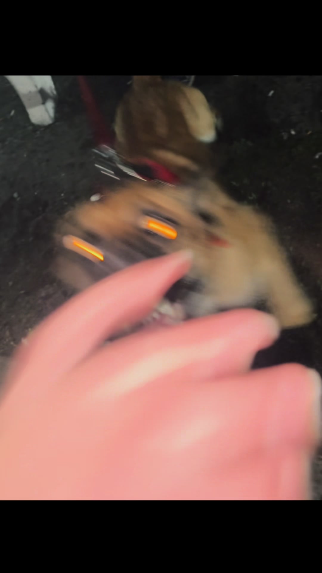 @Dk9