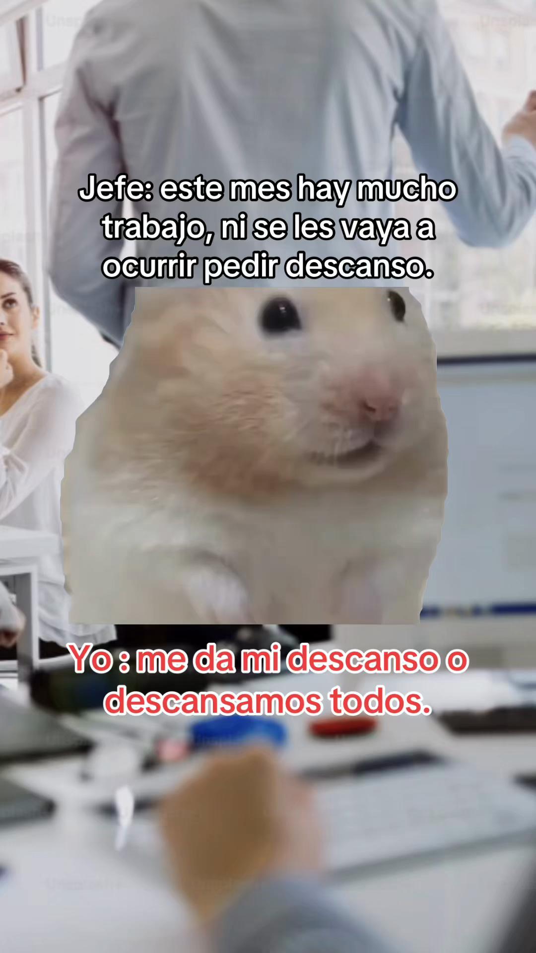 @josedelacruz