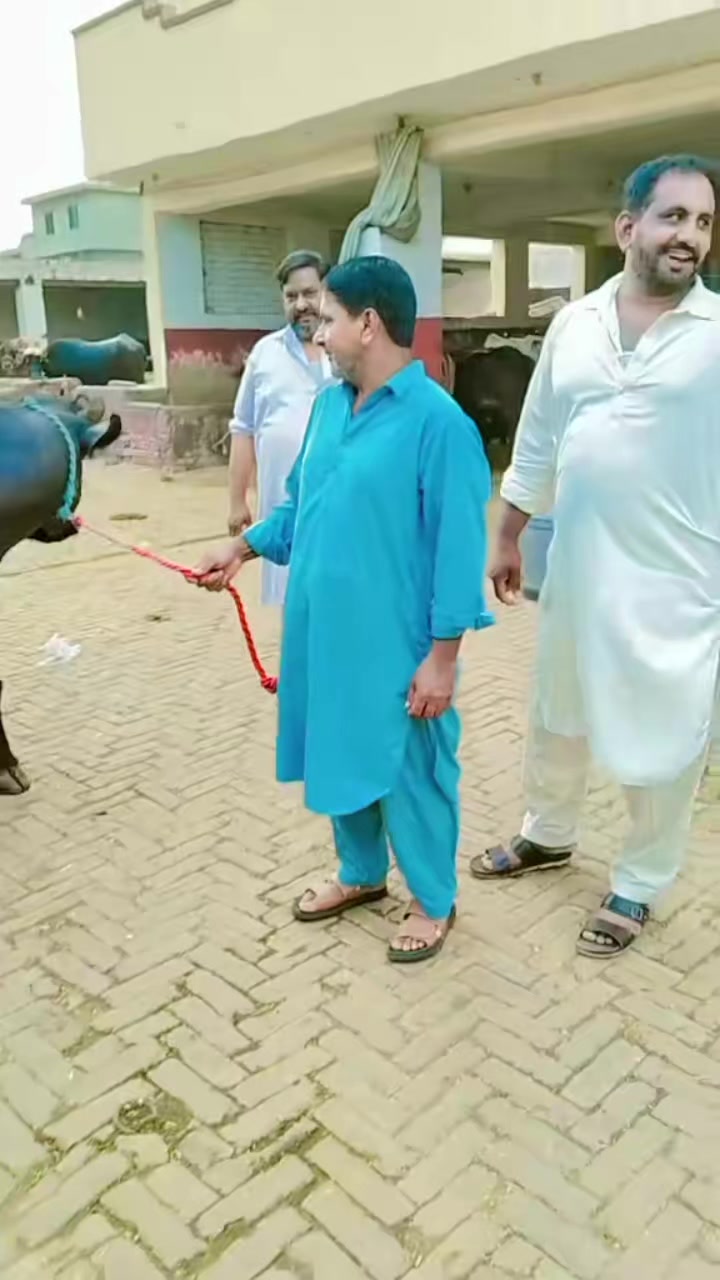 @ZAHID GUJJAR 2088