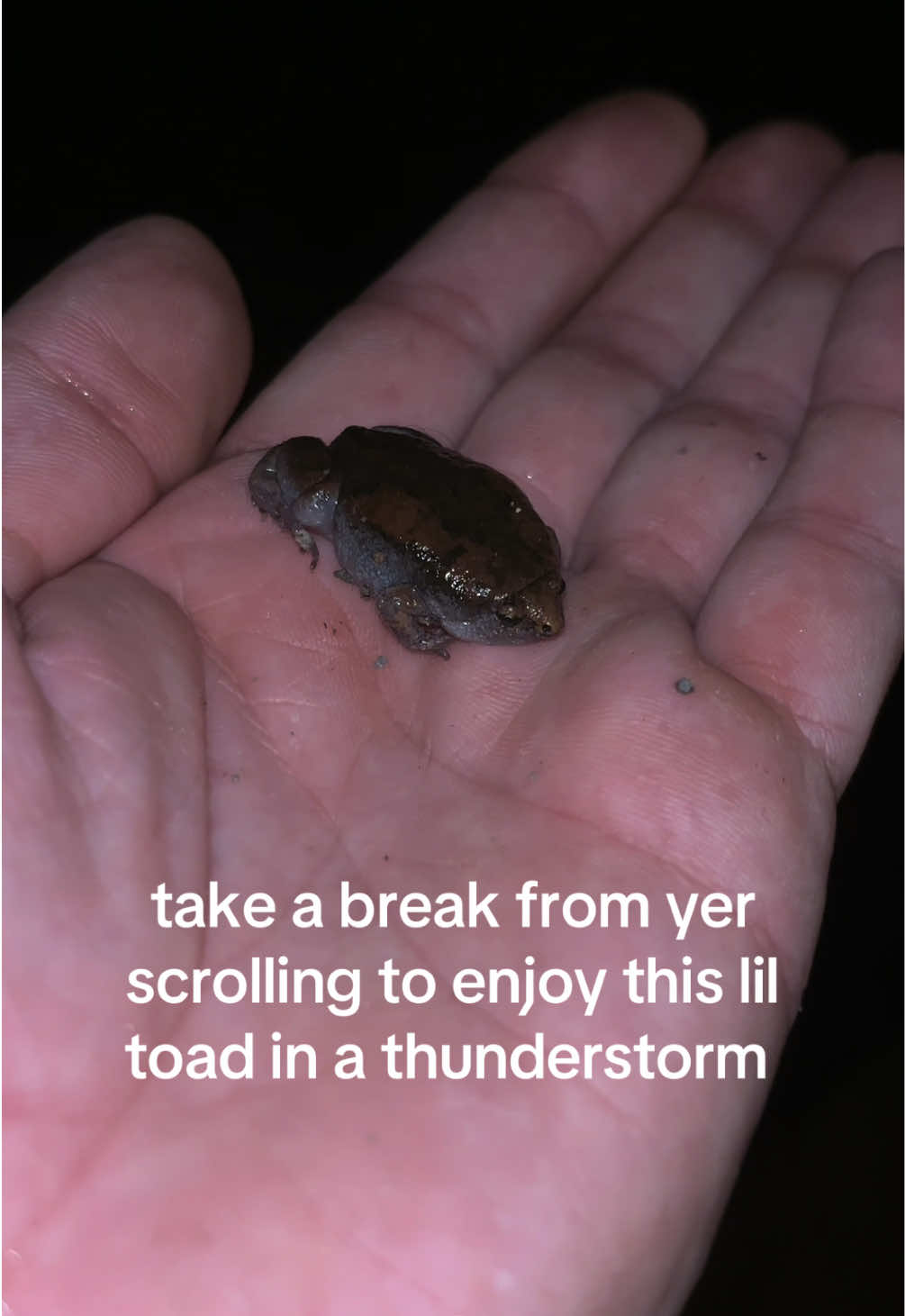 @okcrawdaddy