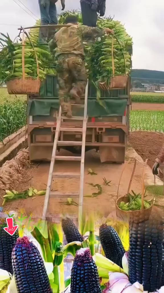 @tới đồ dùng