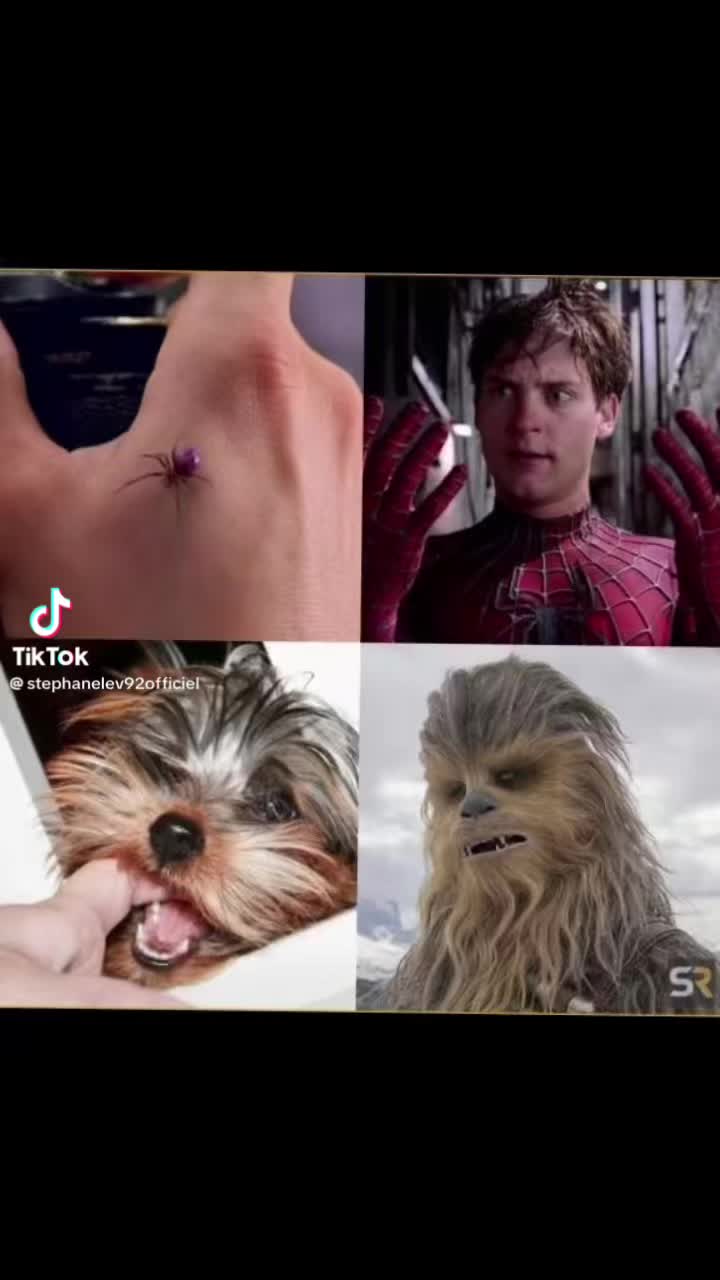 @stephanelevinternational