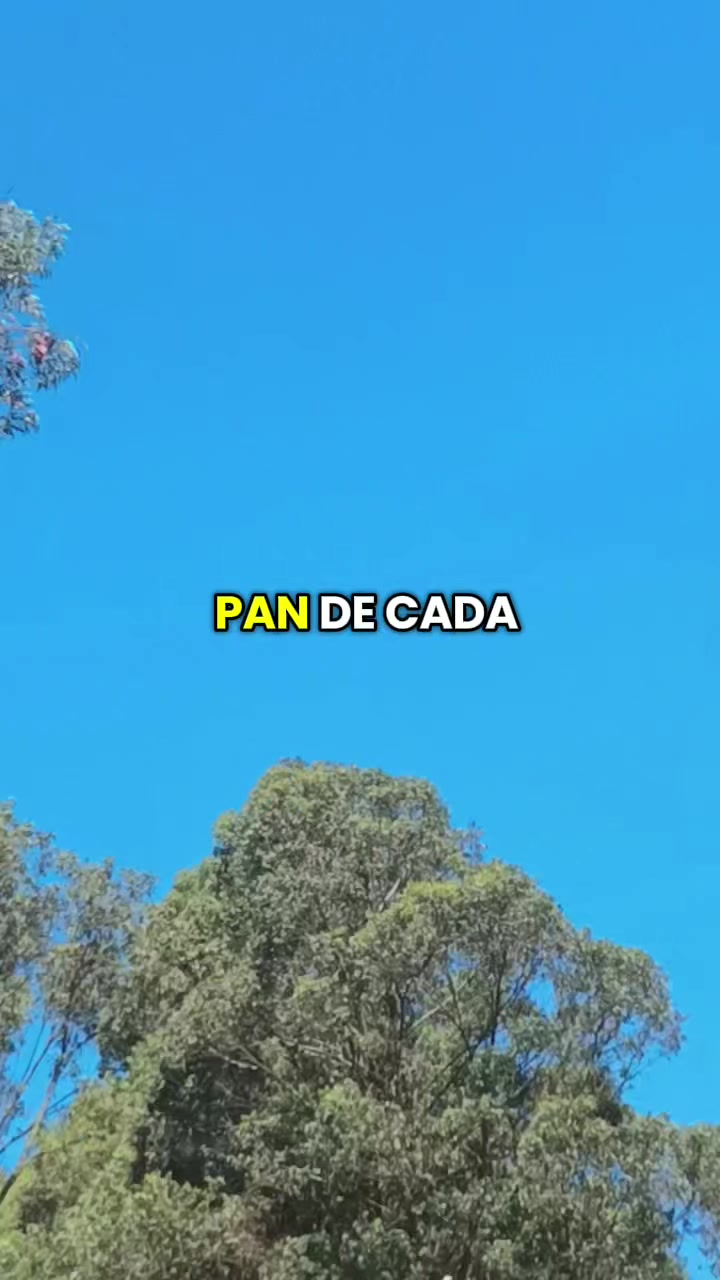 @REVOLUCIÓN FEMENINA.⚽️🧠❤️