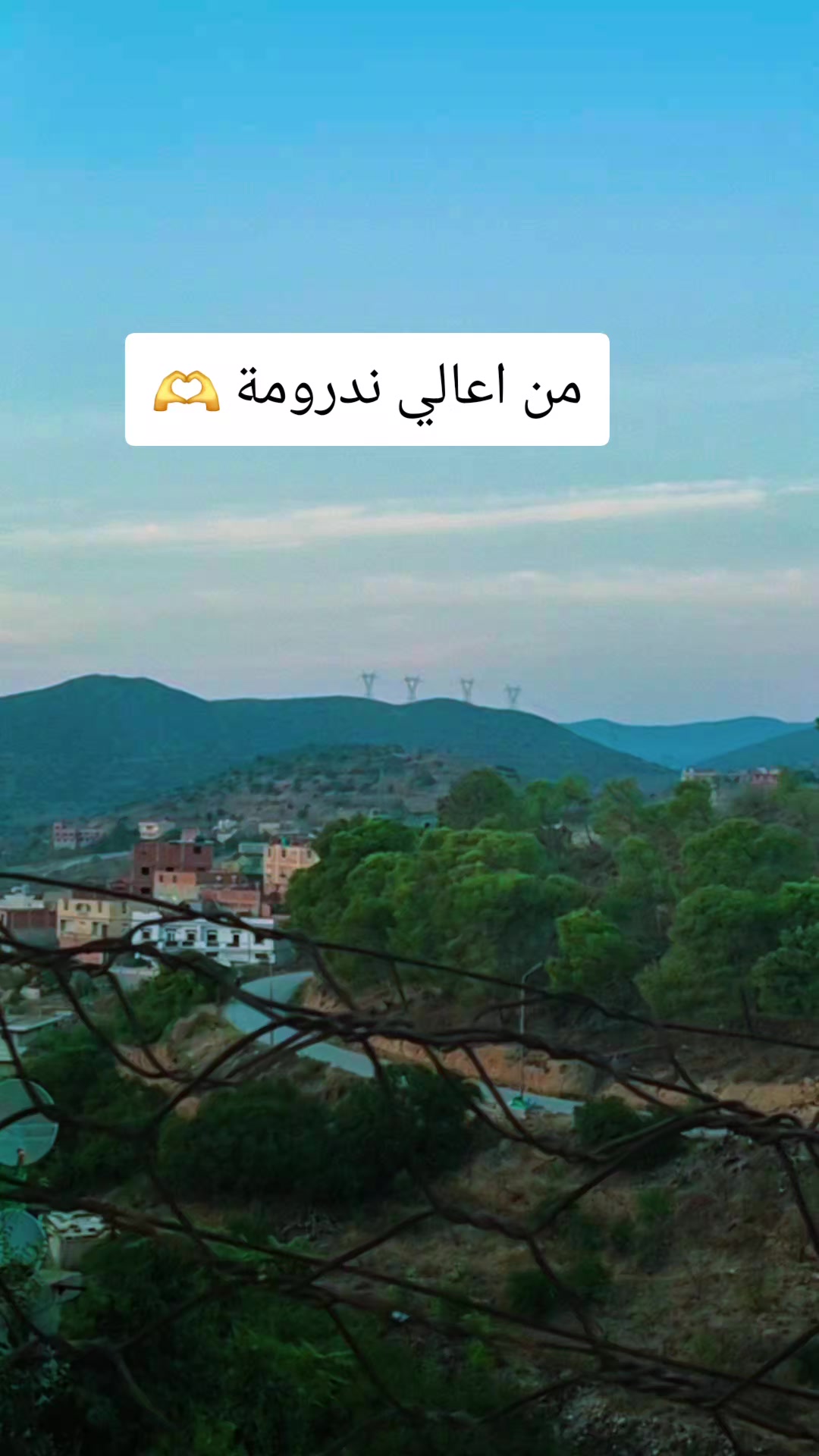 @Roza 🦋