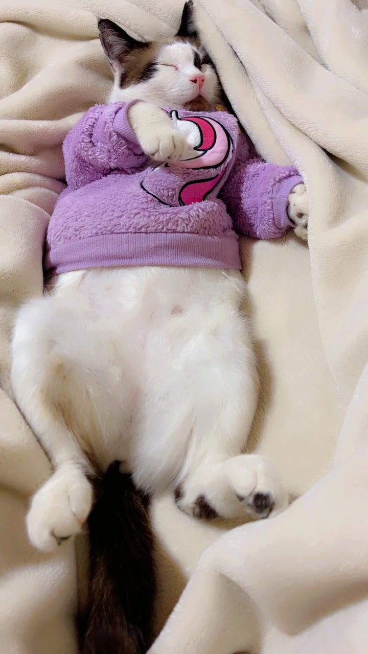 @Mi bella Prinsesa👑💕que adoro