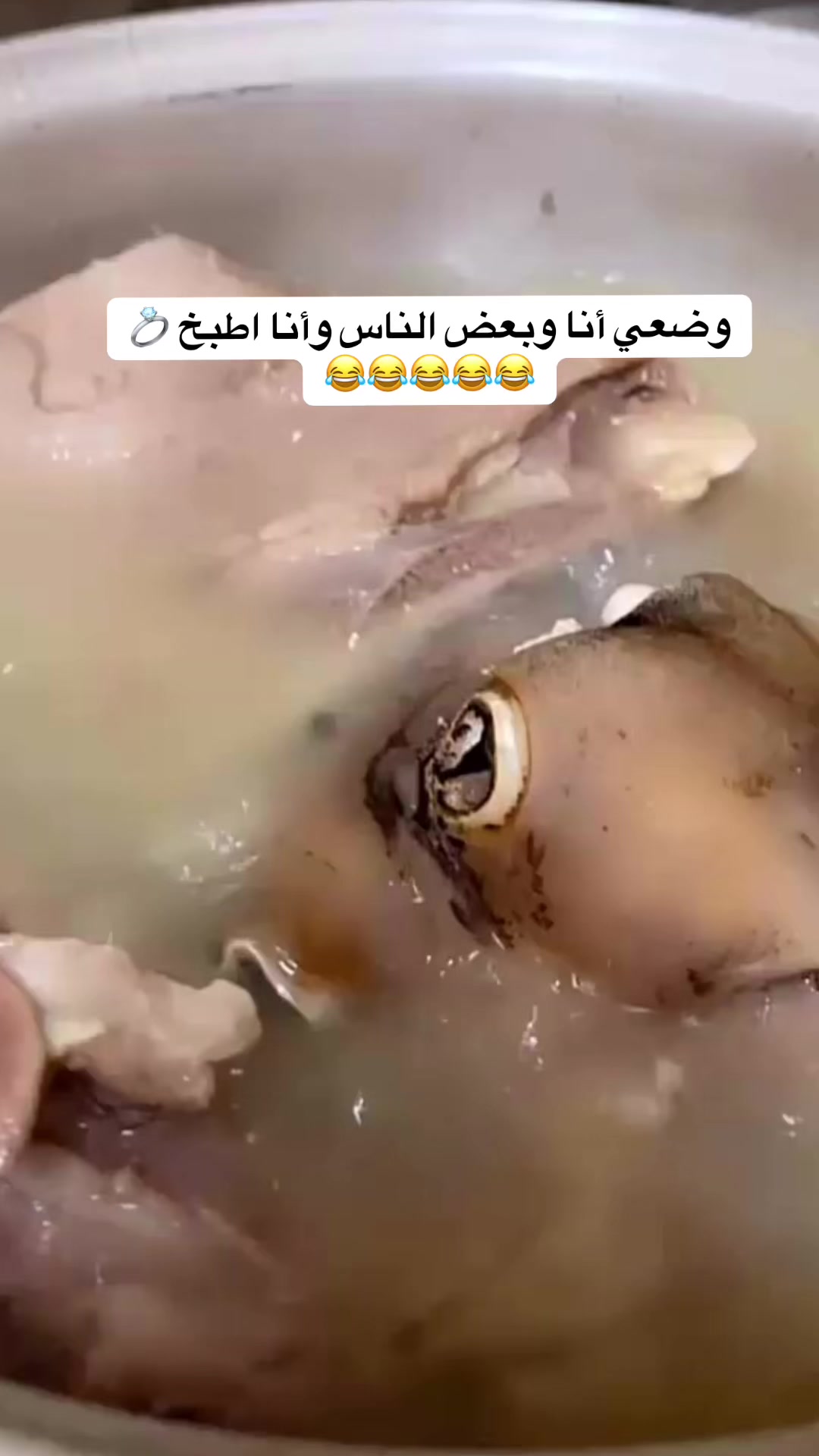 @الكريزيه 🇶🇦🇸🇦