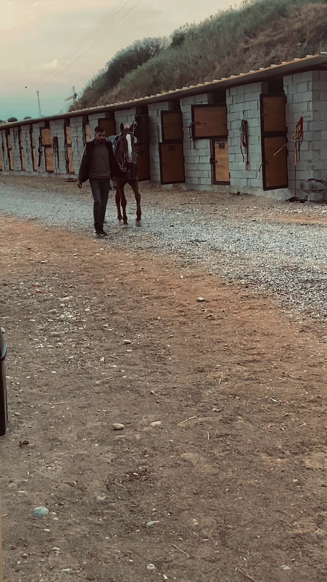 @Aliş Korkmaz
