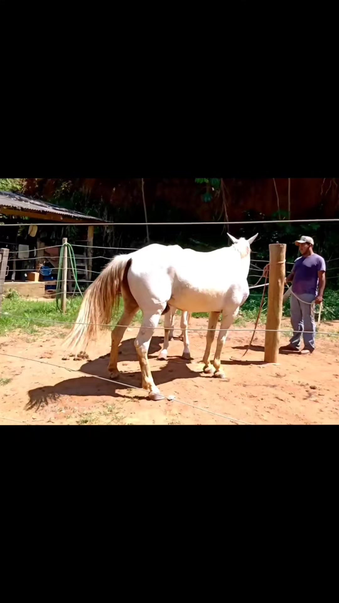 @viralvideo