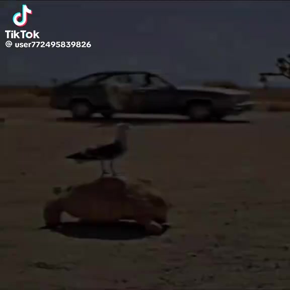 @uncyisheretodayforreposts