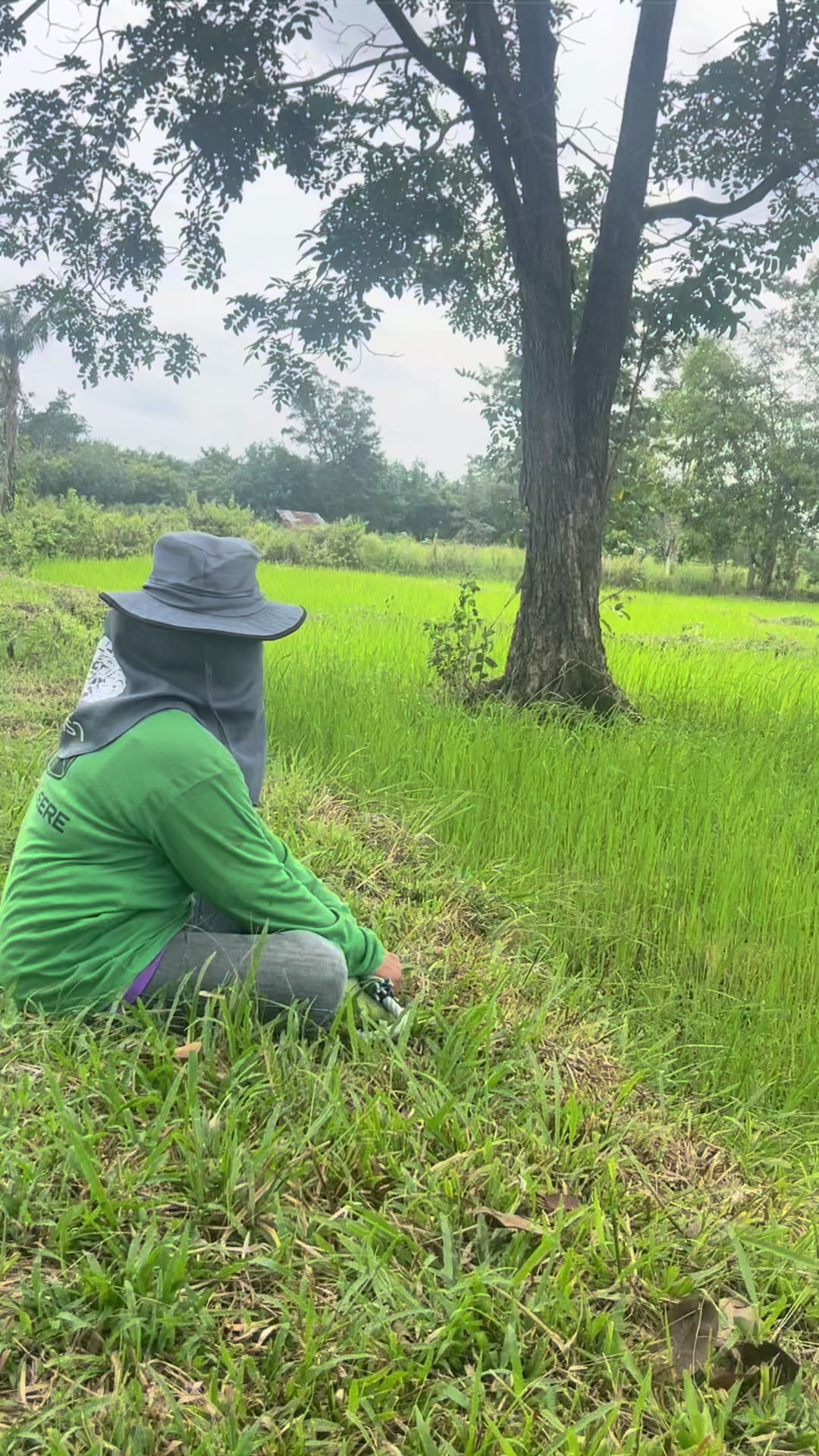 @ทองจันทร์ ศรีสุธรรม