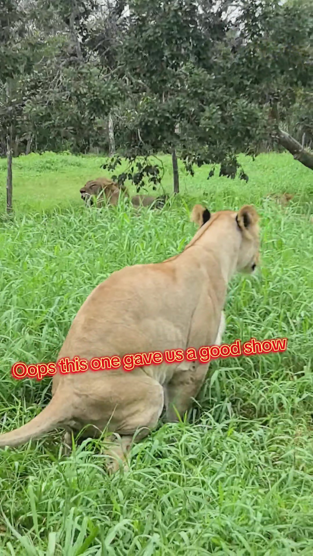 @inday sherr