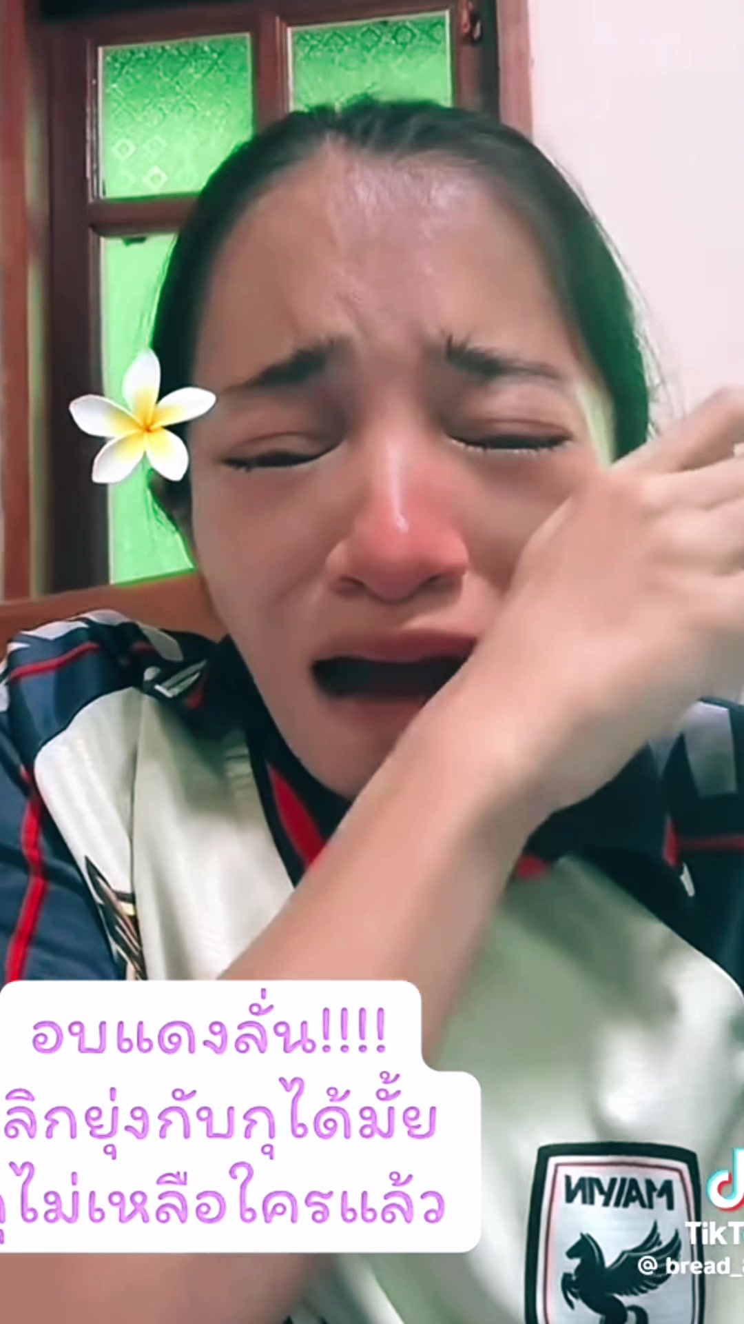 @แมวหัวเห็ด🍄🍄&zwj;🟫