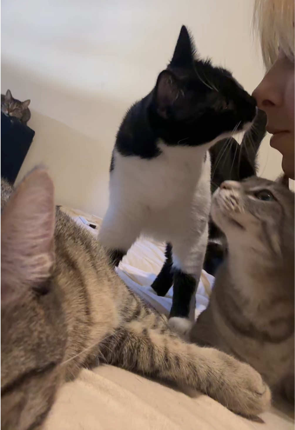 @cosanostrapurr