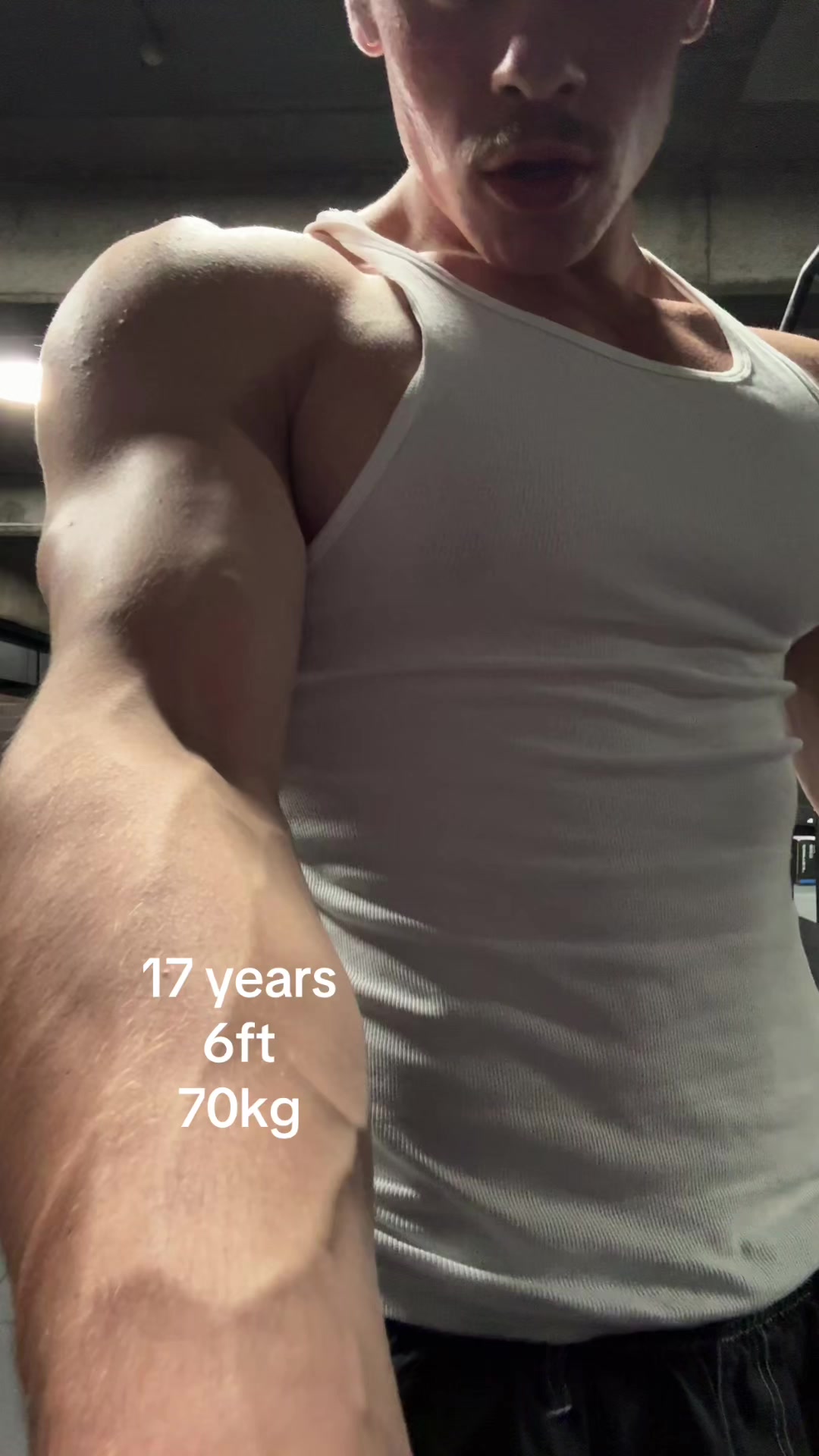 @archerlft
