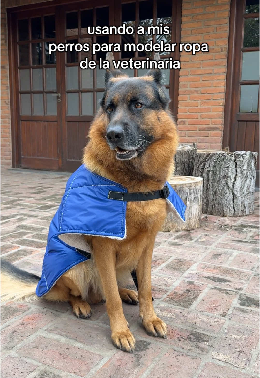 @Florsi