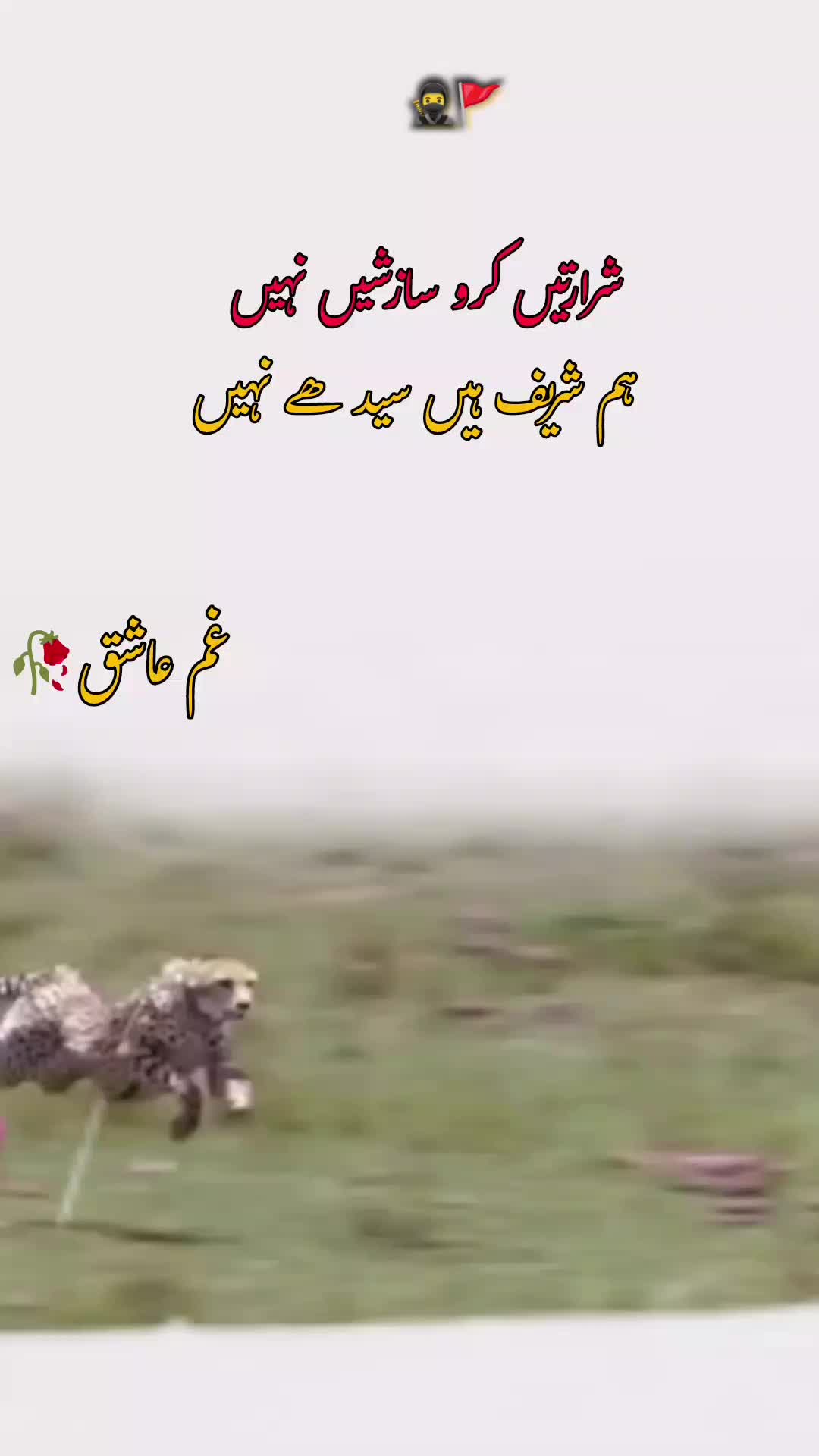 @𝙂𝙝𝙖𝙢 𝙀 𝘼𝙨𝙝𝙞𝙦