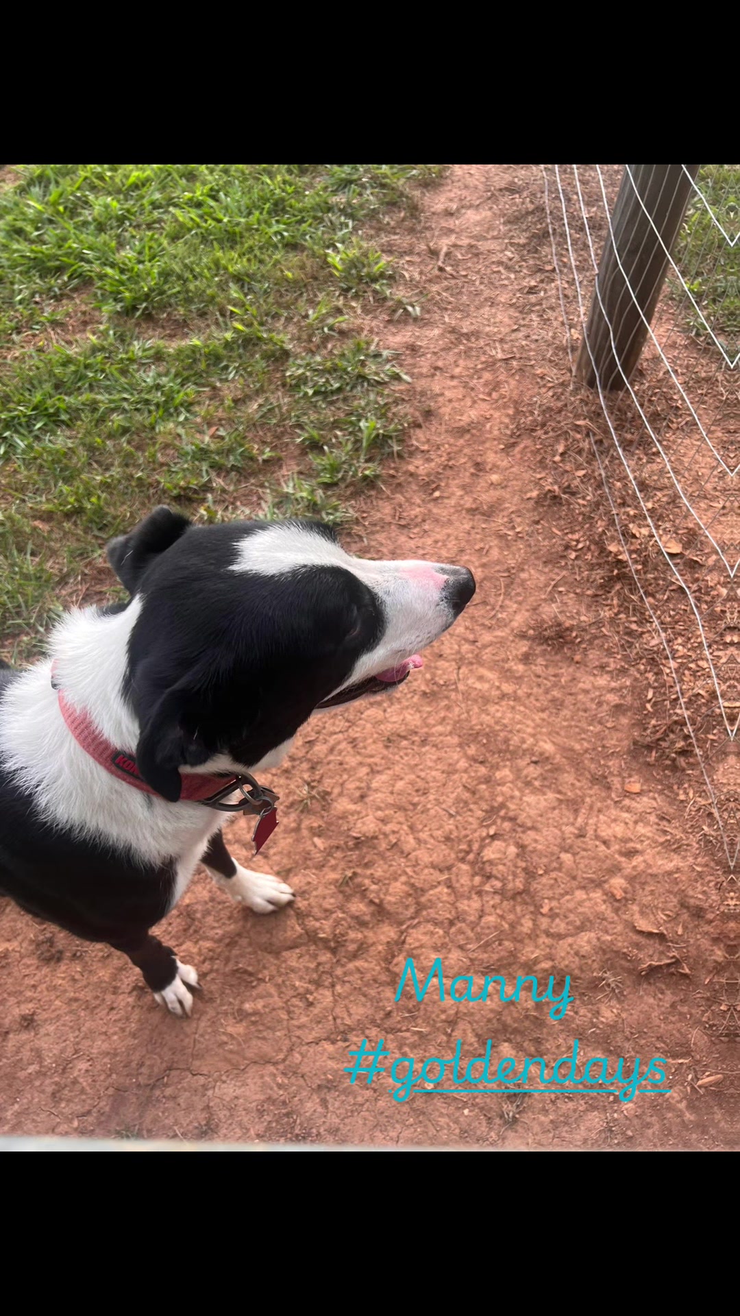 @Angie@k9kennels🐾