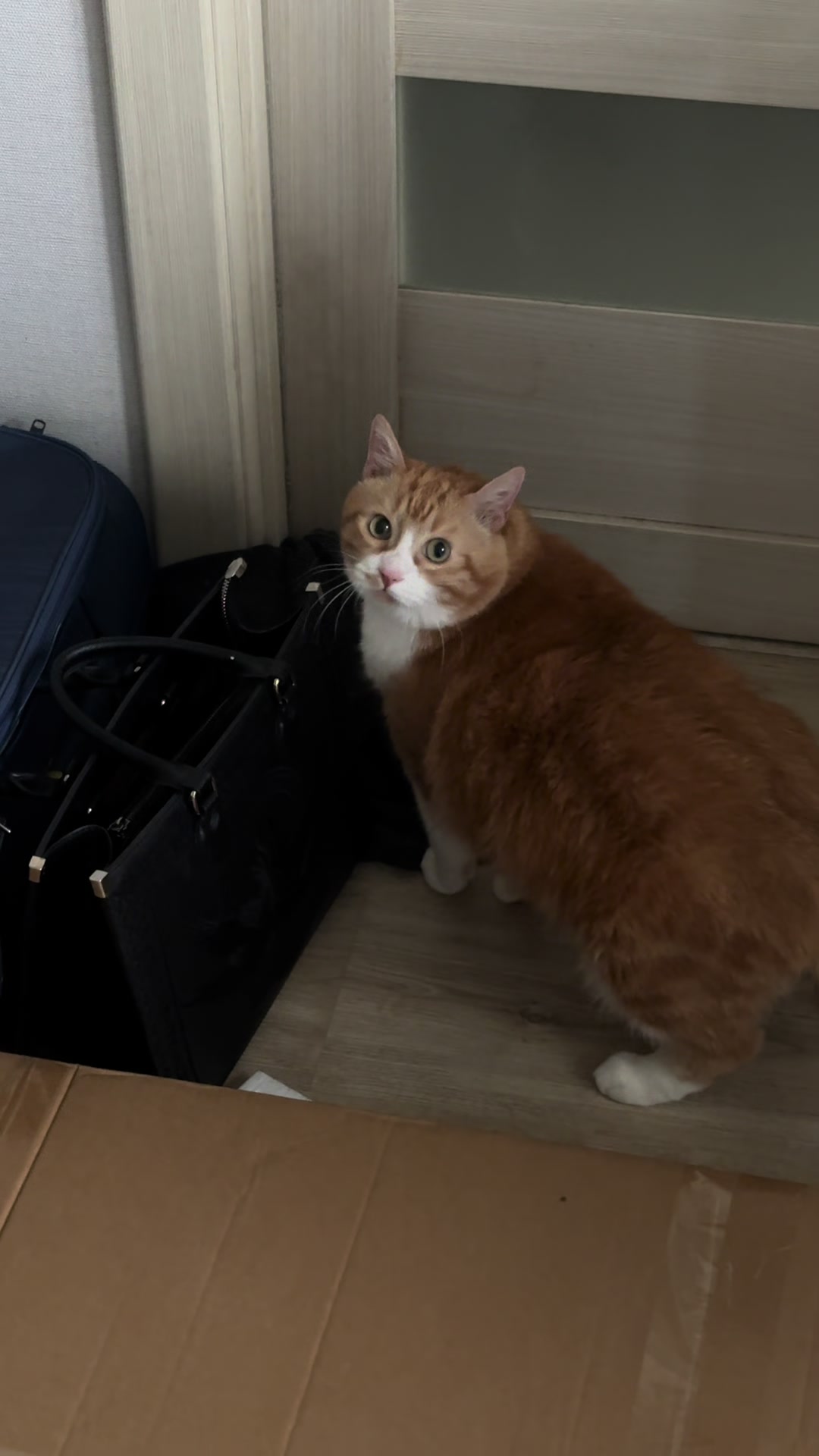 @GOSPELAॐ