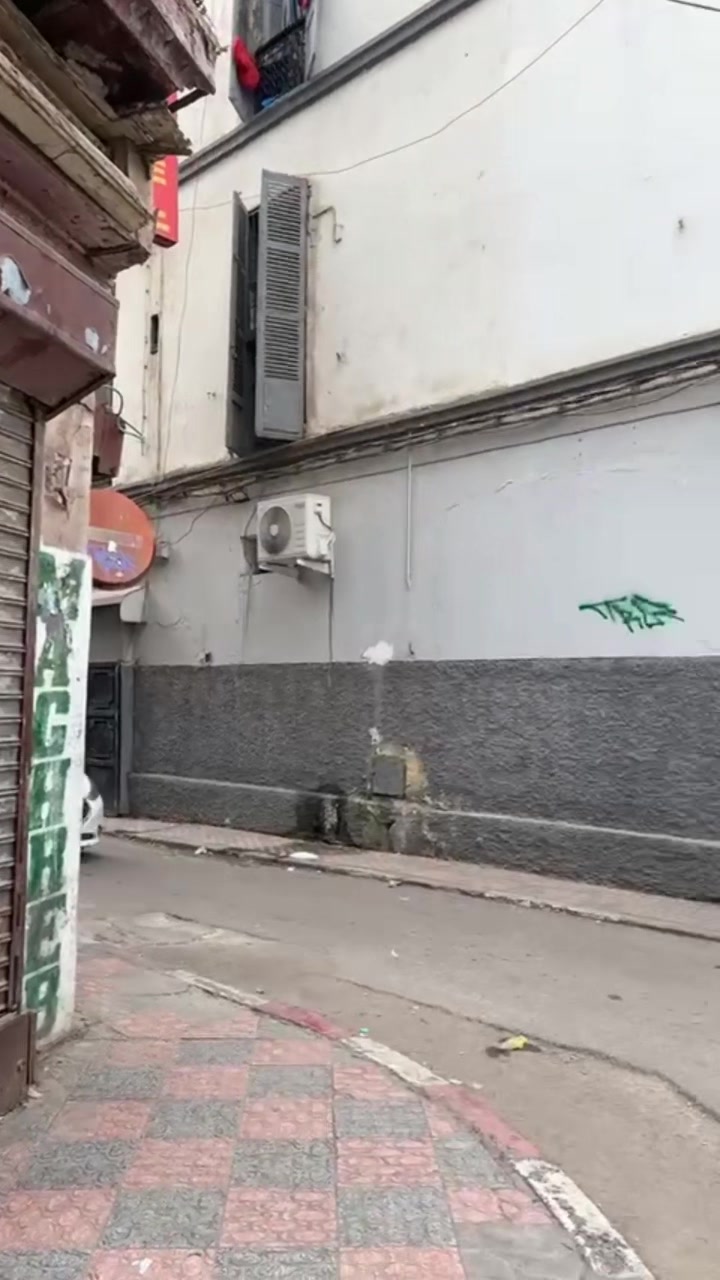 @🪼