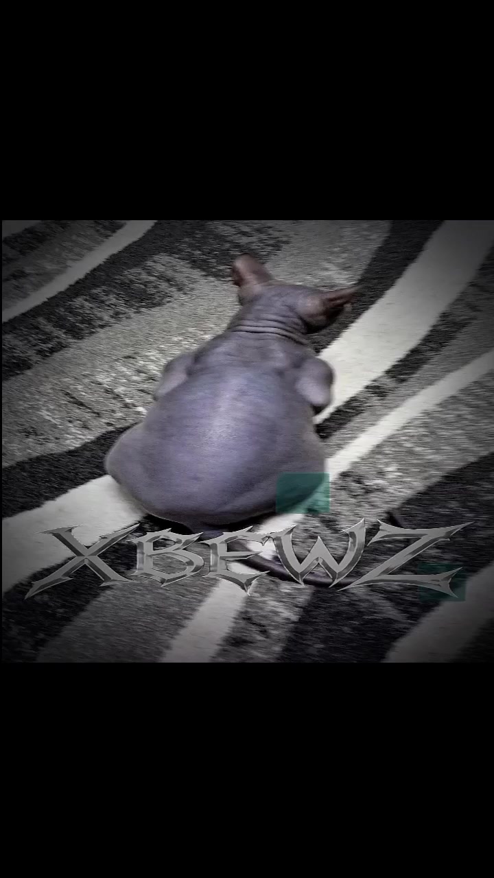 @Night🌙 | 跳ね返り