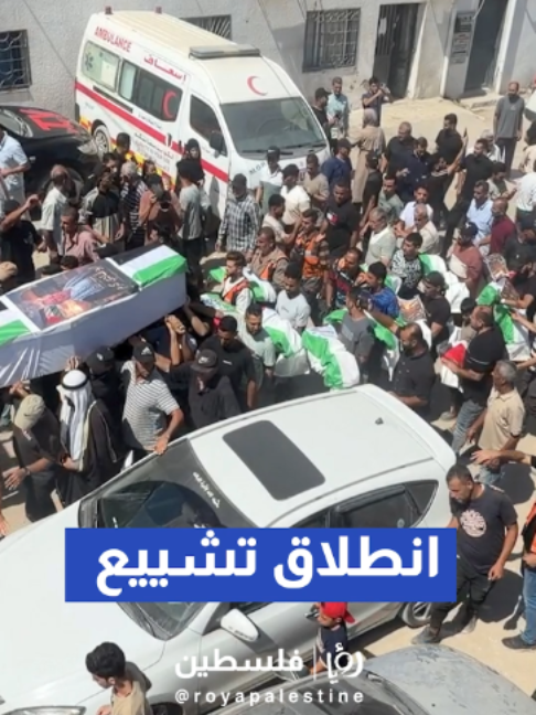 @Royapalestine رؤيا فلسطين