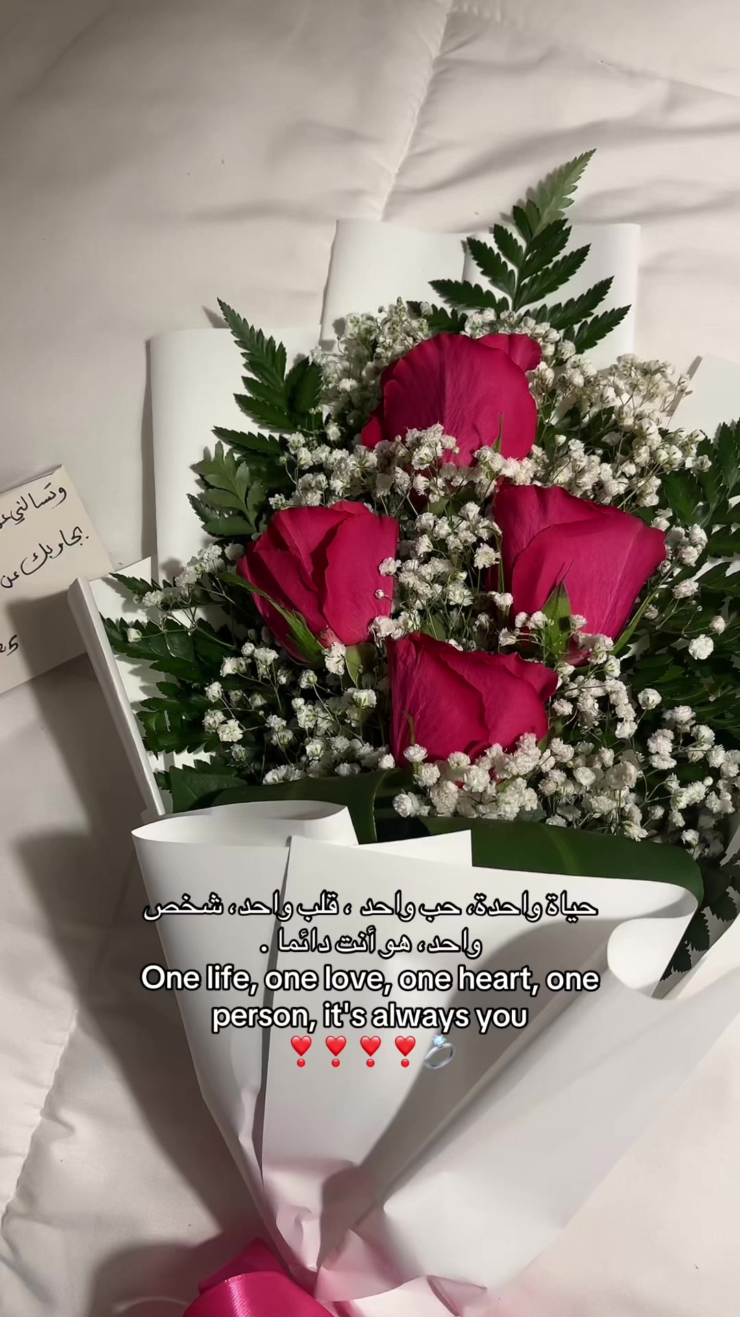 @شَـمـس | shams