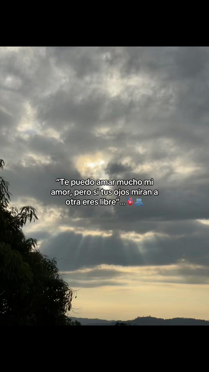 @_music_0384