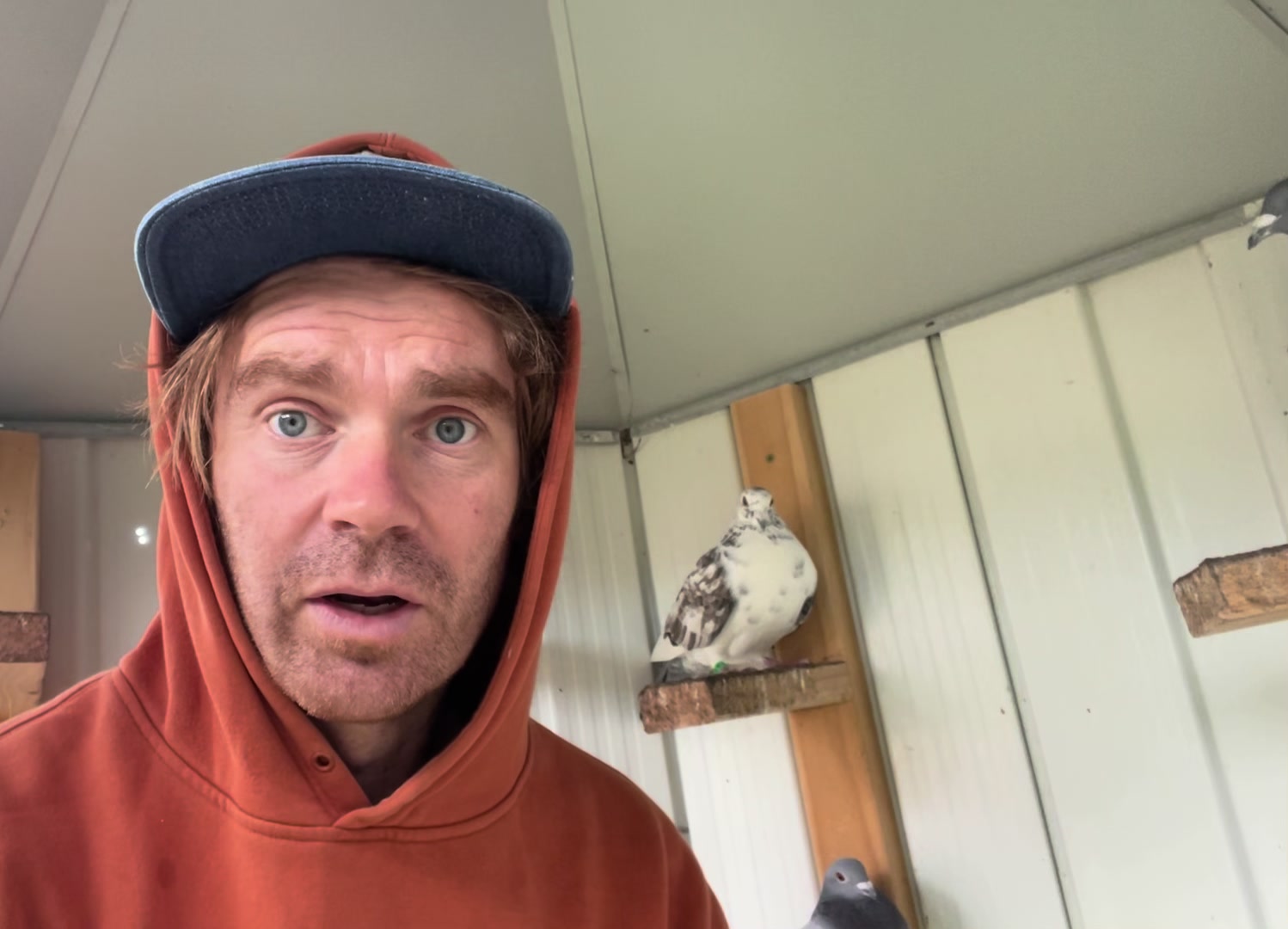 @thenewpigeonbloke