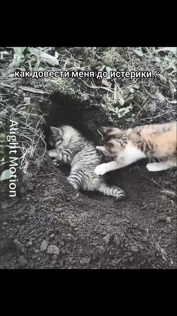 @~Между_Джексом_и_хаосом✓