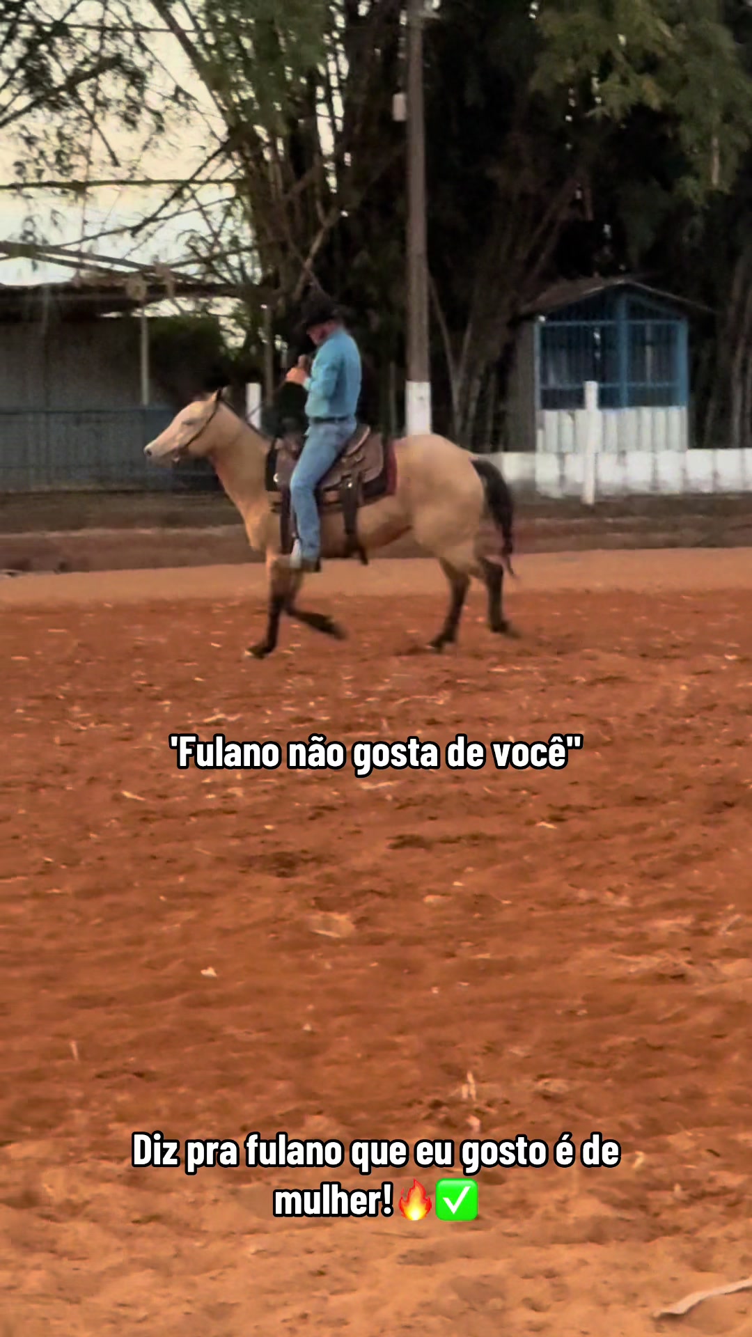 @mateusandrade9837