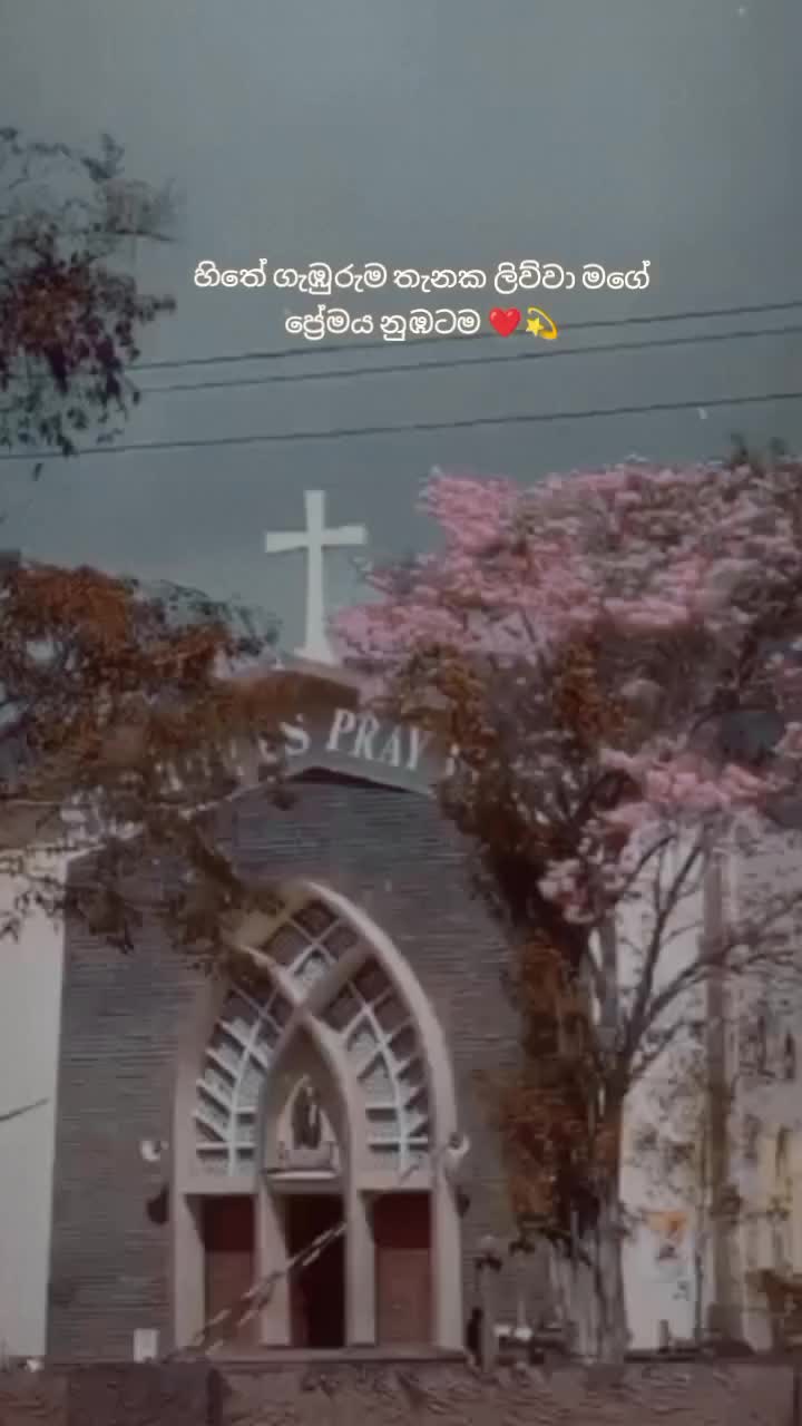 @Dhmzz❤️