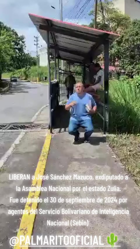 @PALMARITOOFICIAL 🌵