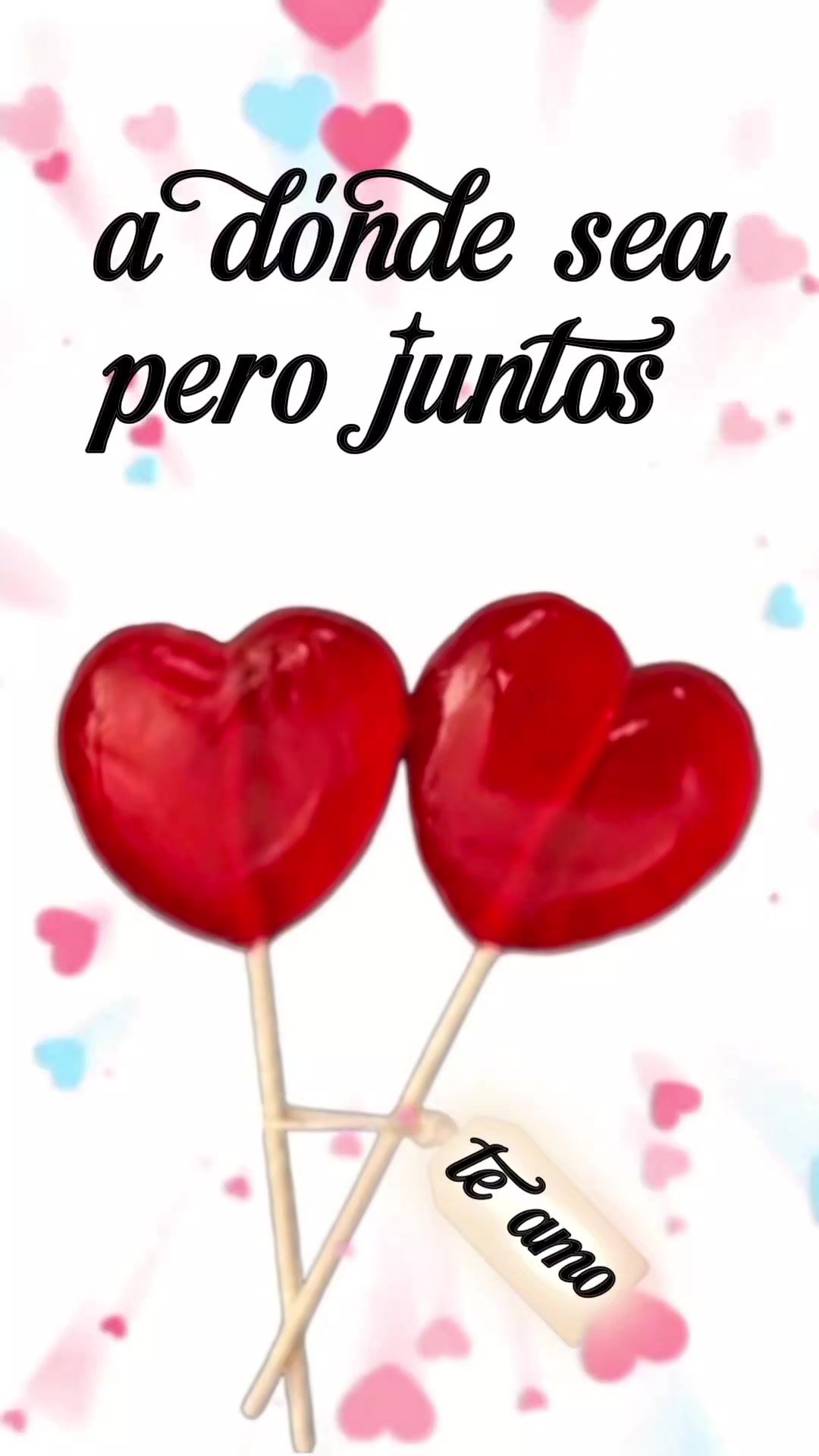 @Sandra Ayala