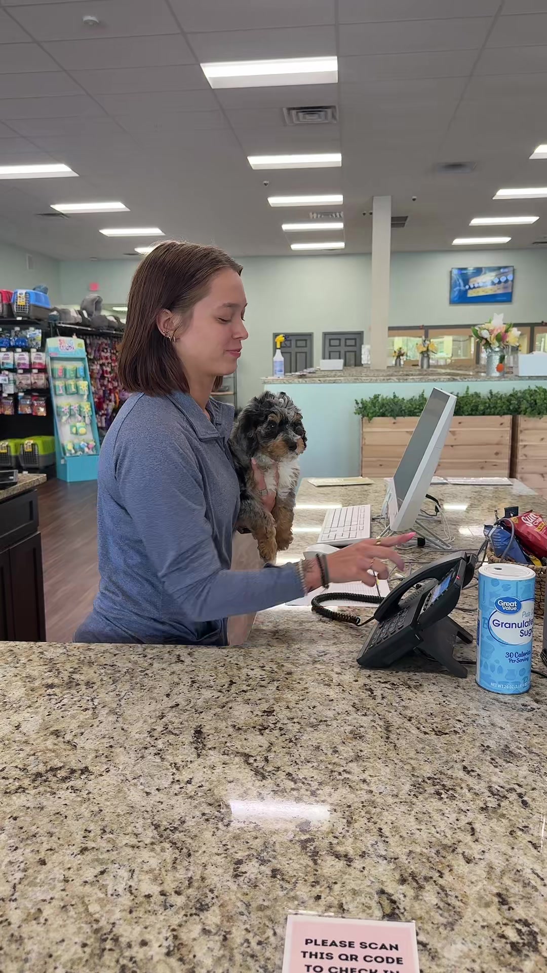 @Dream Tails Boutique Sarasota