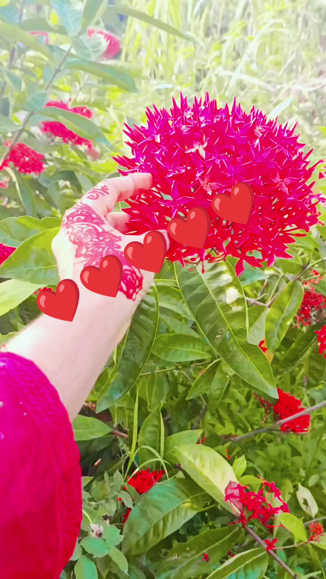 @তাসমিন  নাহা