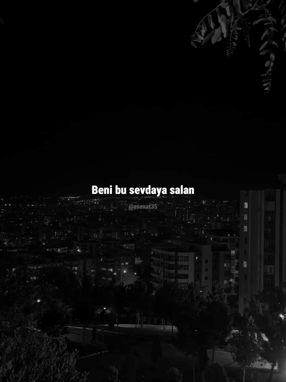 @asenat.35