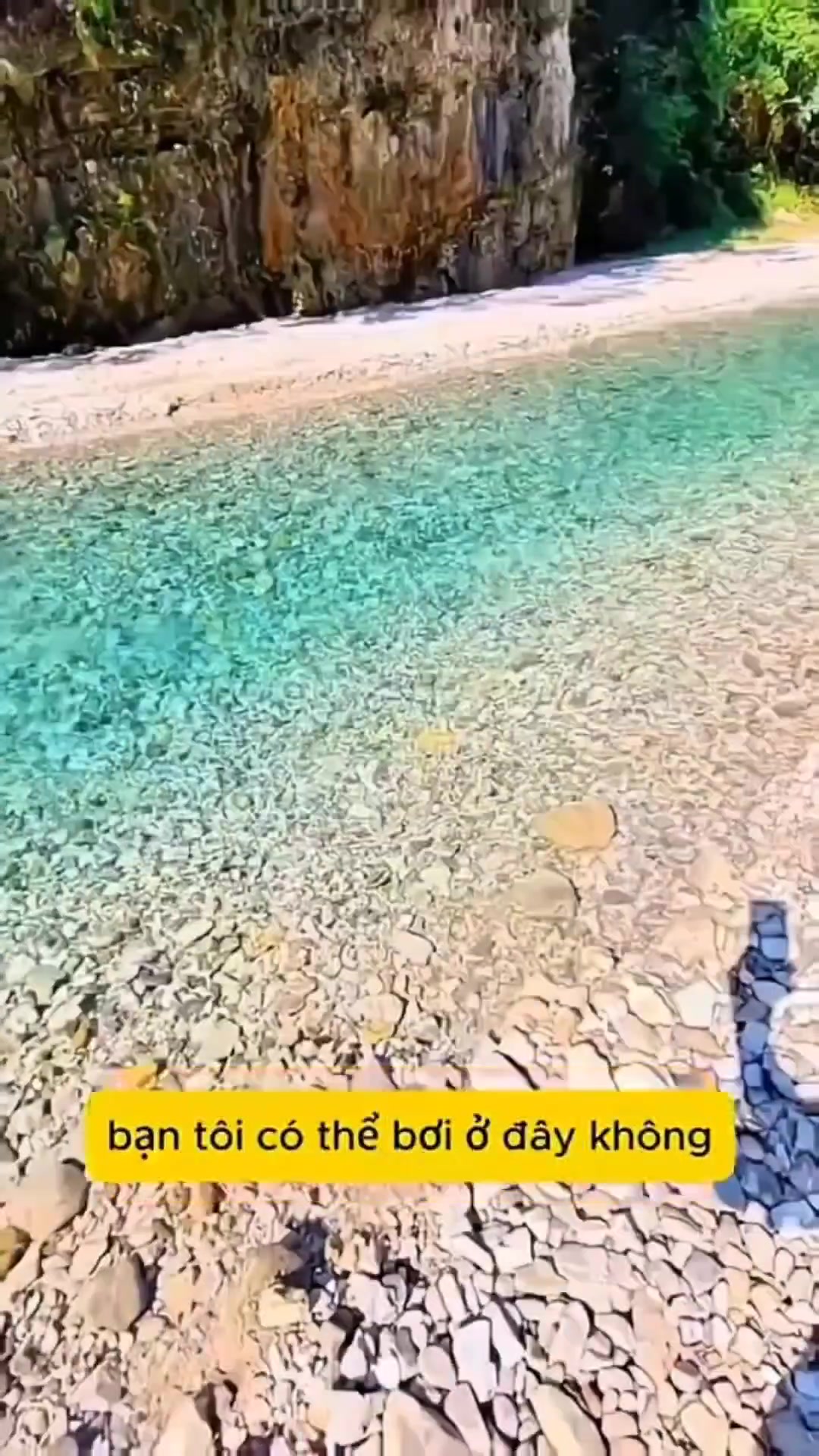 @zindeptrai💫⚡🐲🐉🐊