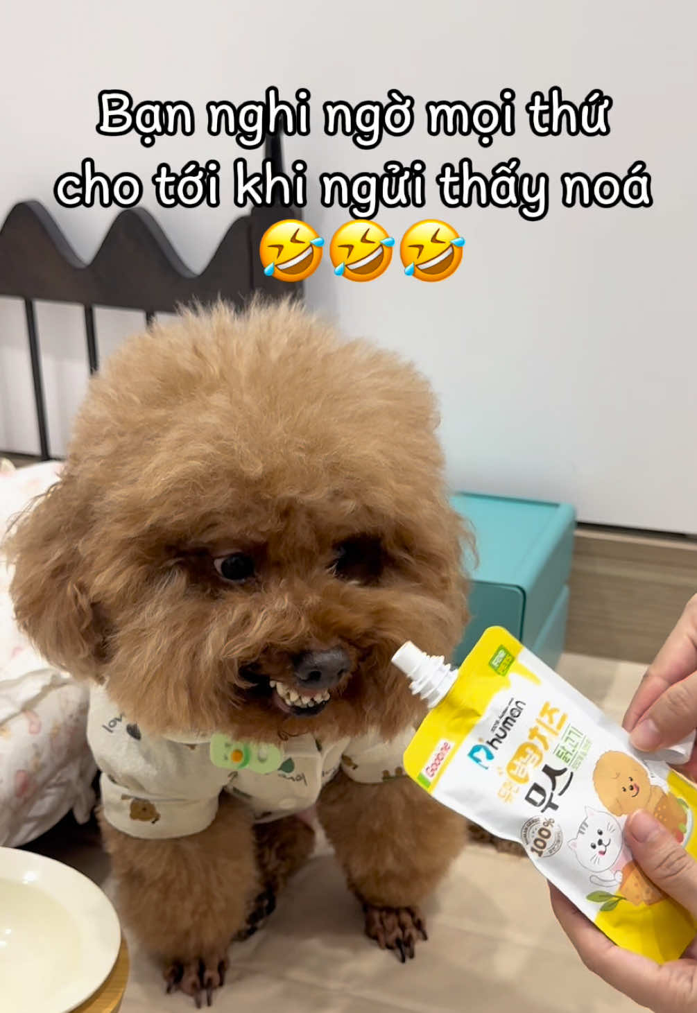 @Gia Đình AvocaBo
