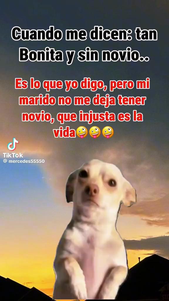 @🦍 Maribel ♥️🦍