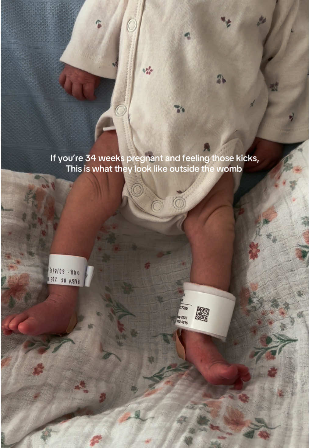 @zoeandherpreemies