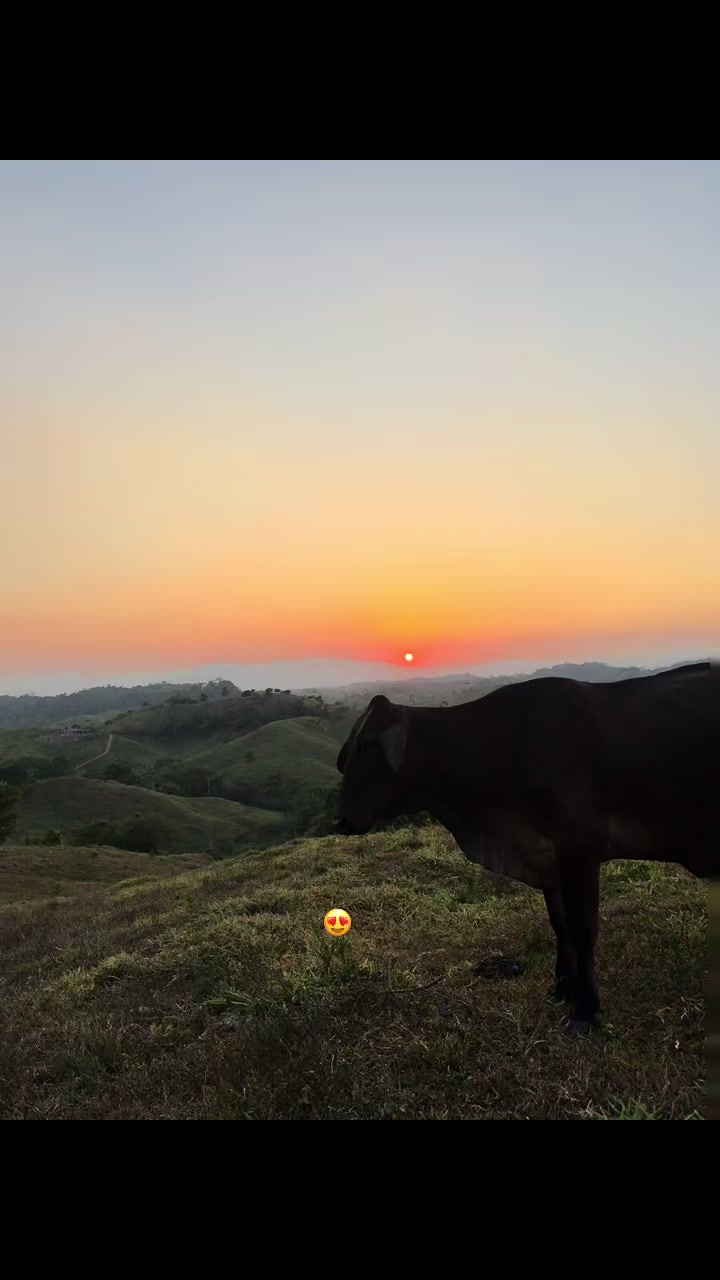 @𝙣𝙖𝙣𝙘𝙮-𝙧𝙞𝙫𝙚𝙧𝙖