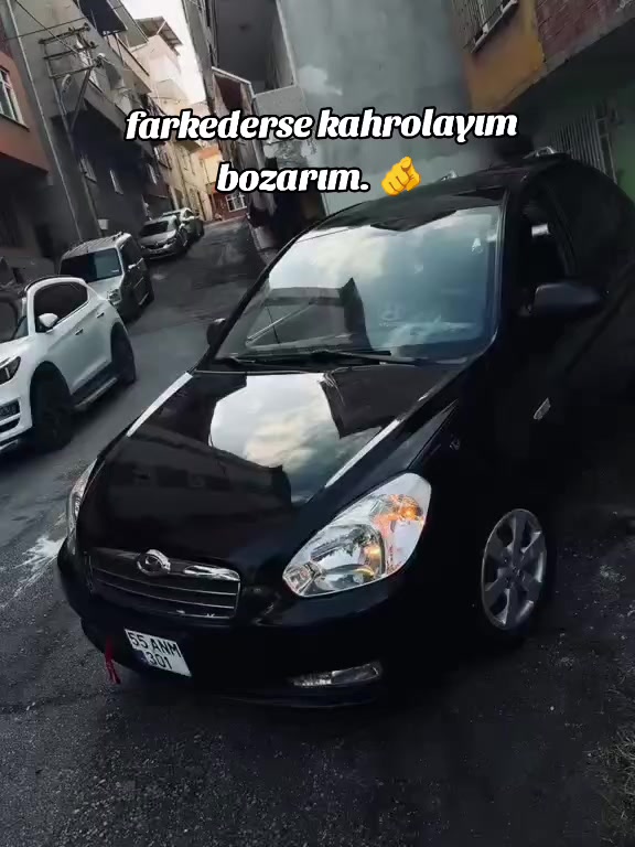 @55ANM301