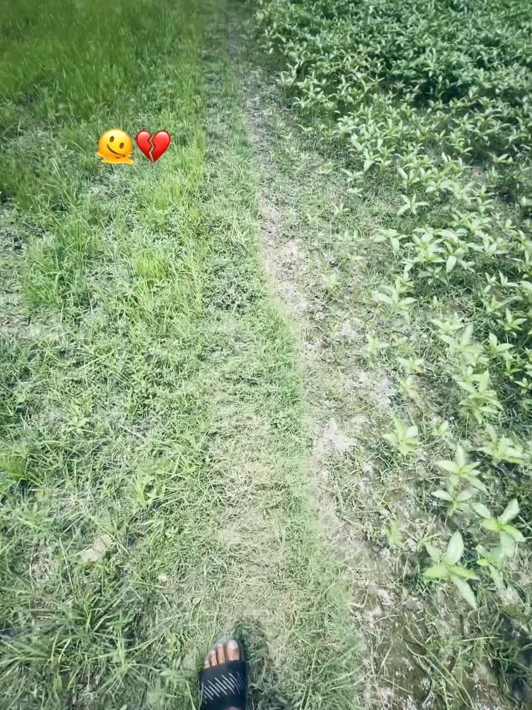 @Ꭼϻᴏɴ🪐
